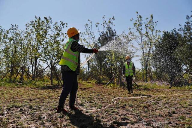 ​北京新一轮百万亩造林完成过半，今春已植树115万株