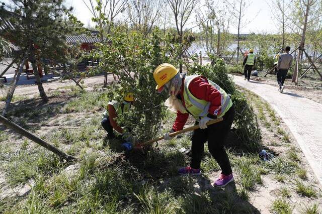 ​北京新一轮百万亩造林完成过半，今春已植树115万株