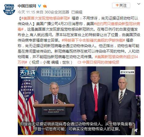 美国首次发现宠物感染新冠 福奇：不用惊讶 尚无证据证明动物可以传染给人