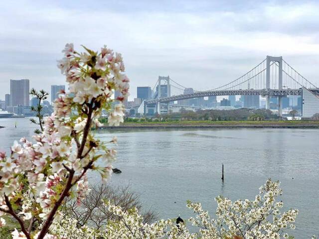 日本全国知事会要求“黄金周”期间实施道路管制