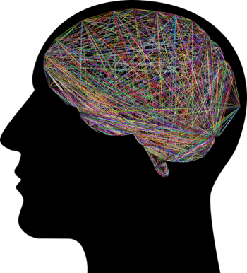 《Nature Neuroscience》期刊：人类语言的演化之路追溯到至少2500万年前