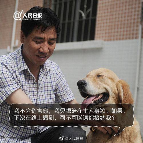5月起，安徽将可携带导盲犬依规出入公共场所