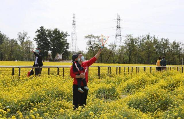 油菜花海、捡拾鸭蛋……北京农业观光游逐渐“回暖”