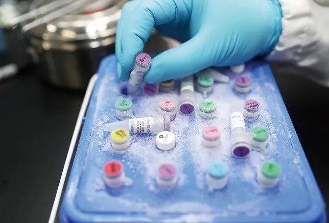  1月 29日，上海某实验室中工作人员在演示新型冠状病毒 mRNA疫苗实验过程。