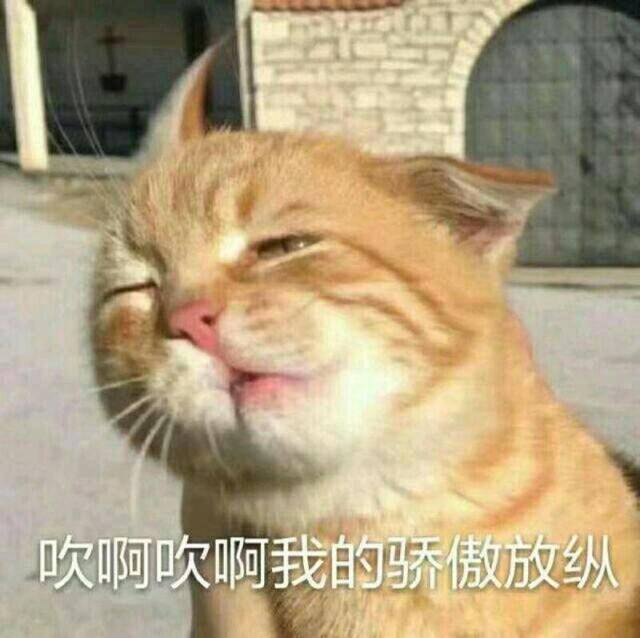 老师抱猫“当教鞭”吸引学生，猫：被迫营业