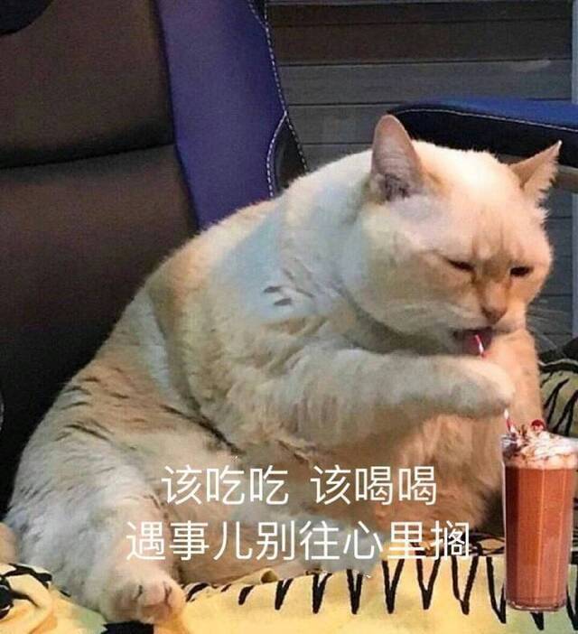 老师抱猫“当教鞭”吸引学生，猫：被迫营业