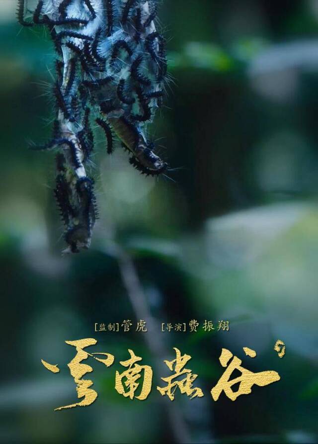 潘粤明《龙岭迷窟》又写片头又填词，被赞写得好还免费