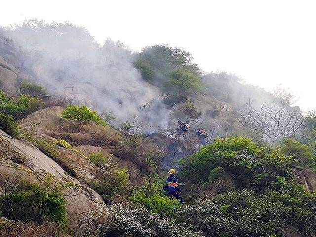 组图直击 青岛小珠山救火一线