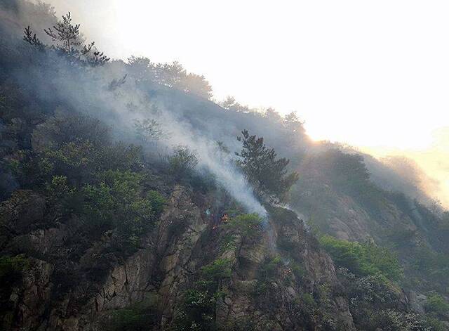 组图直击 青岛小珠山救火一线