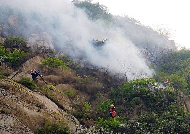 组图直击 青岛小珠山救火一线