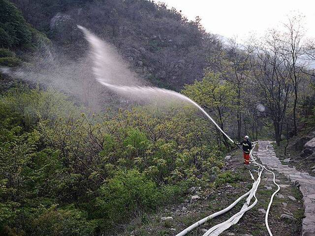 组图直击 青岛小珠山救火一线