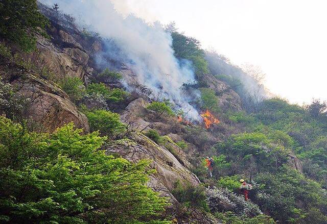 组图直击 青岛小珠山救火一线