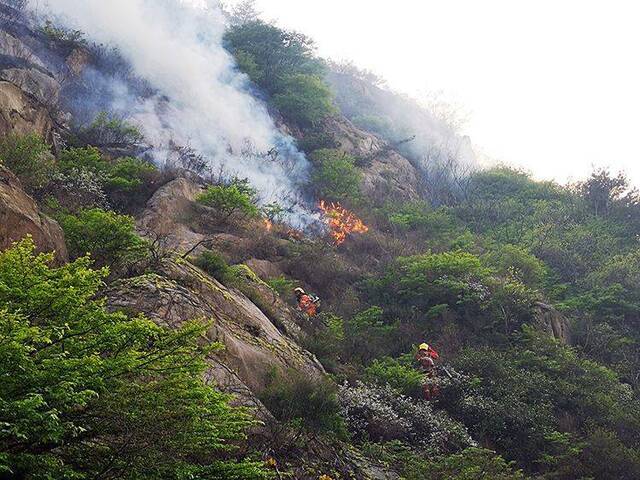 组图直击 青岛小珠山救火一线