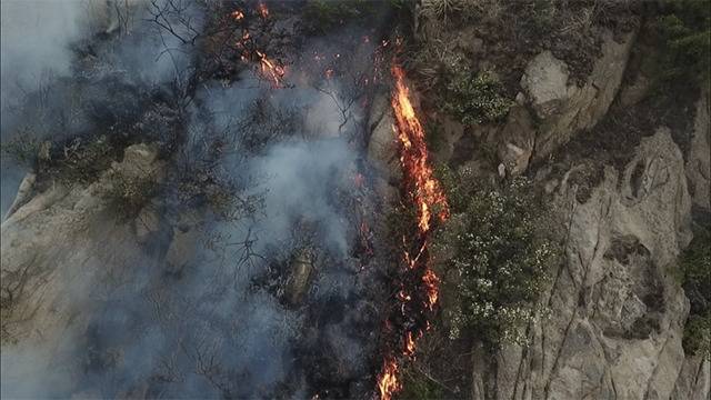 组图｜航拍青岛小珠山景区内山火 正在救援中