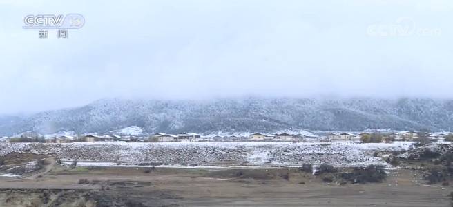 云南迪庆：香格里拉迎来春雪 杜鹃花雪中盛开