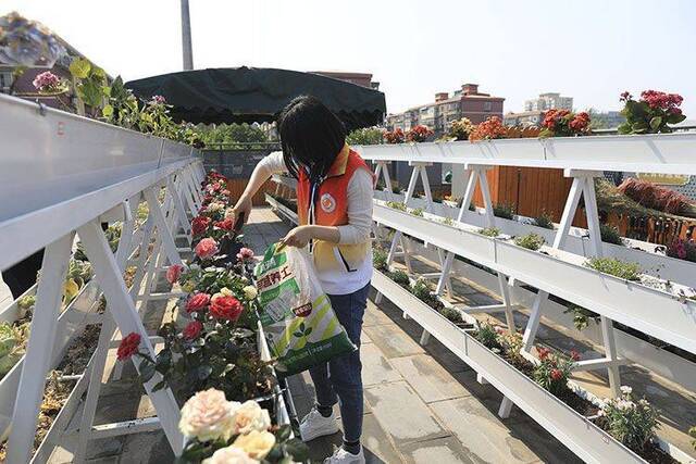 厨余垃圾转化营养土 二里庄社区生活垃圾实现绿色微循环