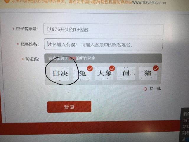 图由罗先生提供