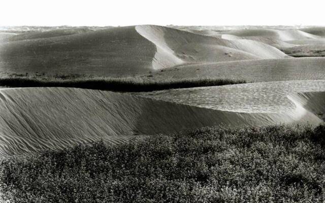 将消失的陕西毛乌素沙漠 离不开这一家四代人植树36年