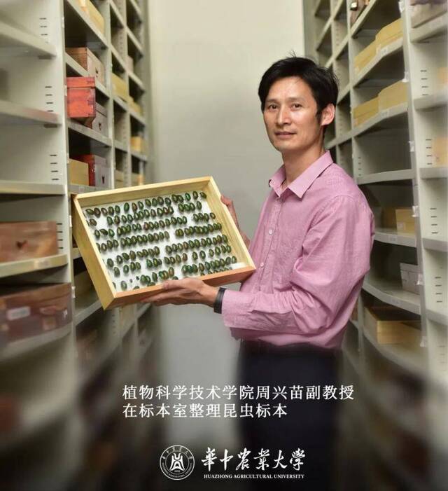 最美是劳动！致敬华中农大每一位劳动者！