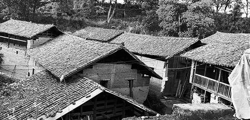 打造生态农业旅游景区 贫困村变示范村