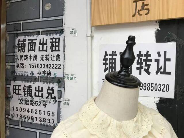 图/豆子