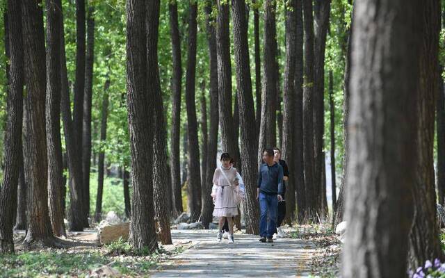 人少景又美 乡村小公园迎来城市游客