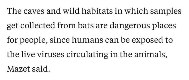 △马泽特说：“采集样本的洞穴和野外环境对人们来说是危险的地方，因为可能会接触到动物体内传播的活病毒。”