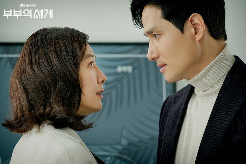 韩剧《夫妻的世界》收视率刷新非无线台电视剧历史纪录