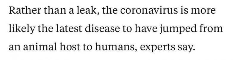 △专家指出，新冠肺炎疫情的暴发不是因为泄漏，更可能是因为新冠肺炎是一种从动物宿主传播到人类的最新疾病。