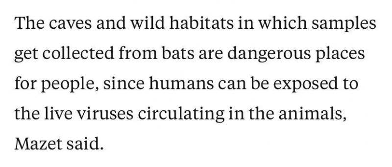 △马泽特说：“采集样本的洞穴和野外环境对人们来说是危险的地方，因为可能会接触到动物体内存活的病毒。”