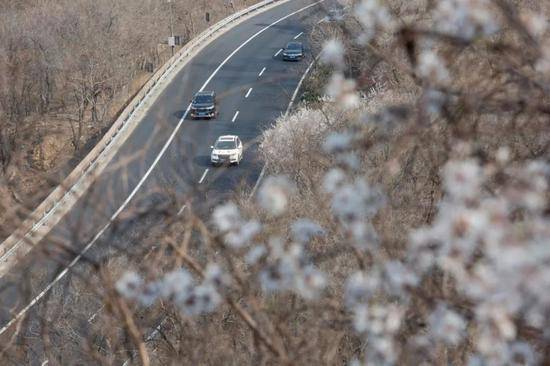  2020年3月24日，居庸关，桃花与八达岭高速。新京报记者李凯祥摄