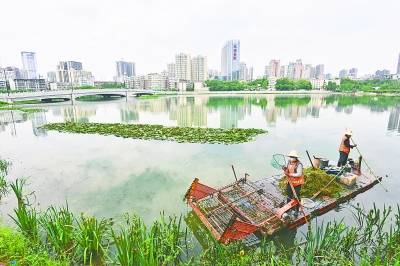 幸遇好心乘客和公交员工接力送还