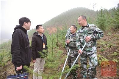 聚焦污染防治攻坚战开展一线监督 铁纪护卫绿水青山