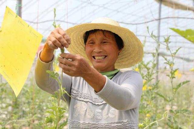 劳动节，他们奋斗的姿态最美！