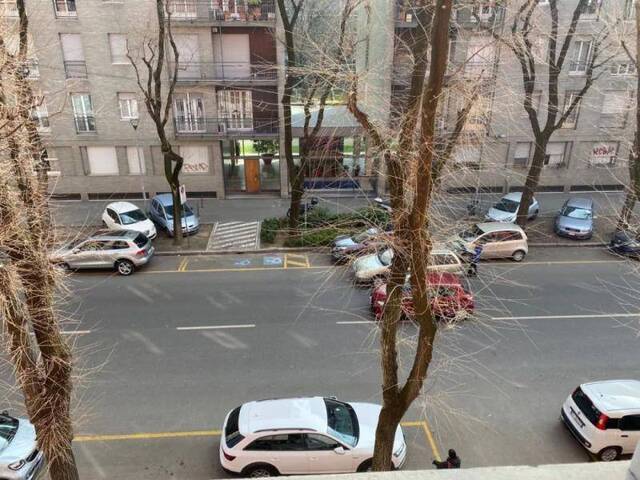 2月底3月初，米兰一公寓门口的树。/受访者供图