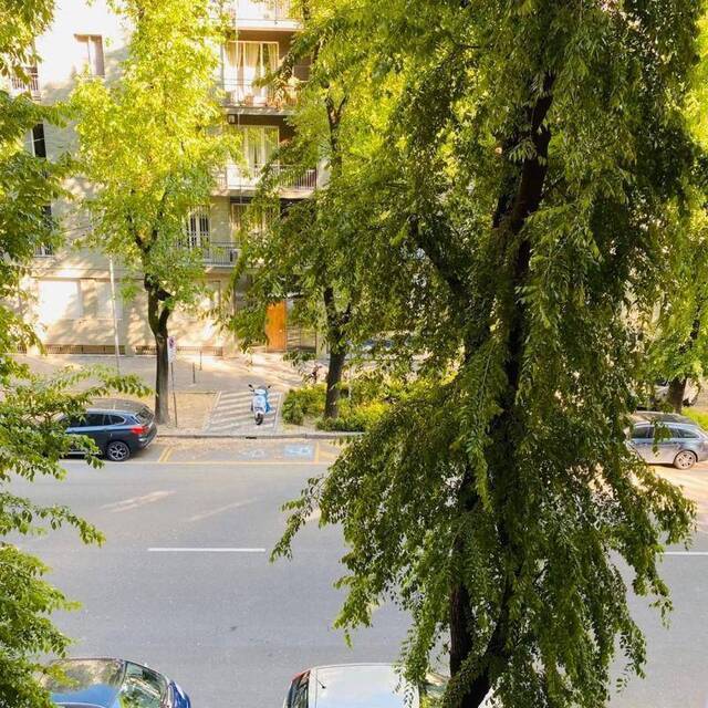 5月初，米兰一公寓门口的树。/受访者供图