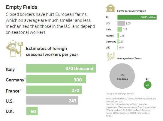 封闭的边境损害了欧洲的农场，图片来源华尔街日报