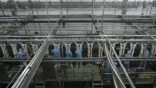 ▲凯旋食品的猪肉加工厂。图据美联社