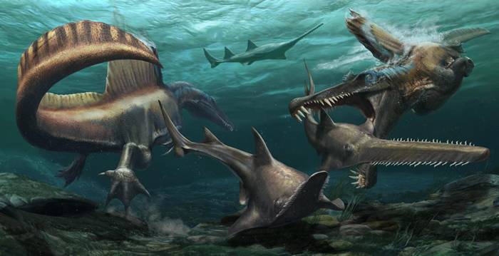 超过9500万年前，摩洛哥曾经覆盖着广阔的河川系统，图中两只埃及棘龙在这片水域中猎捕帆锯鳐（Onchopristis），一种史前锯鳐。新发现的化石说明这种恐龙