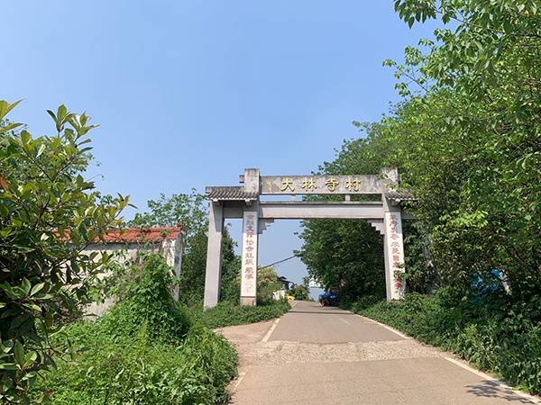 南充顺庆区大林寺村。澎湃新闻记者庄岸摄