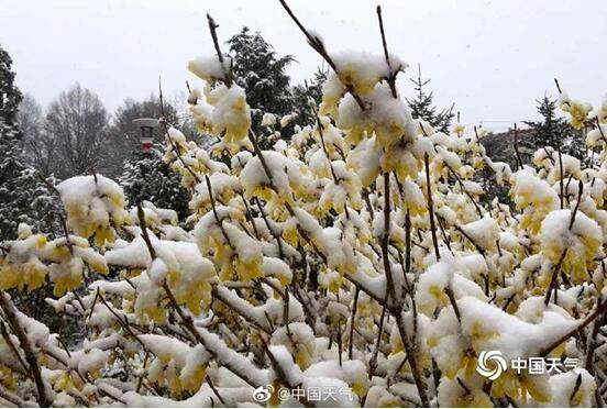 秦岭太白山、平凉崆峒山……多地今天下雪，南方网友：在？借点雪降降温