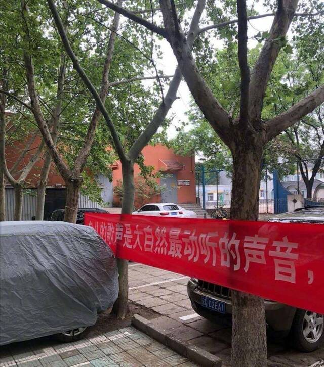 北京丰台一小区有人用升降机摘鸟巢？园林绿化局介入调查