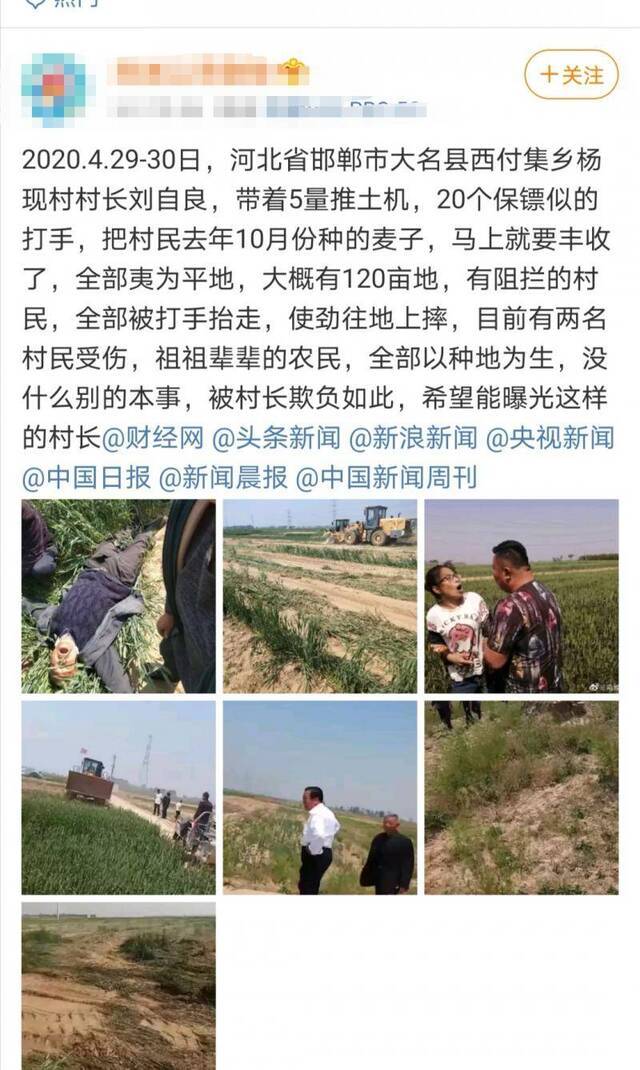 有微博网友爆料称，大名县杨现村将120亩麦子推平。微博截图
