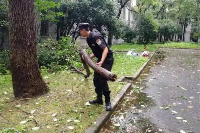 未雨绸缪，同心战汛，复旦大学时刻准备着