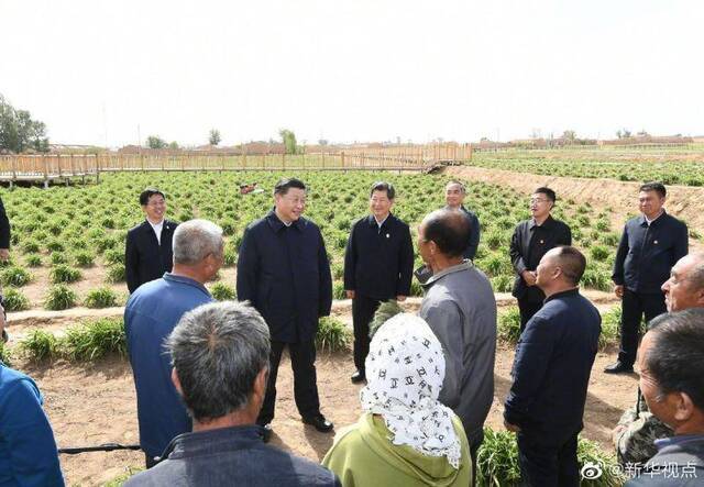 习近平：让黄花成为群众脱贫致富的“摇钱草”