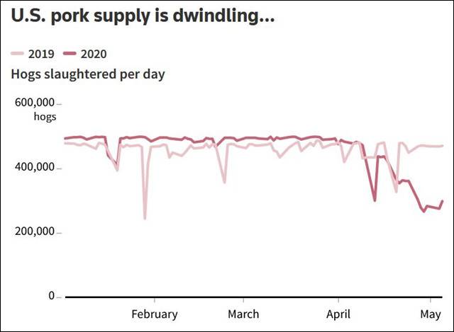美国国内猪肉供应趋势图数据来自美国农业部，截图自路透社报道（下同）