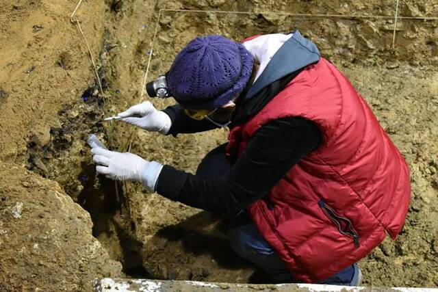 保加利亚巴柯基罗洞穴发现欧洲大陆最古老现代人遗骸智人在4.5万年前进入欧洲