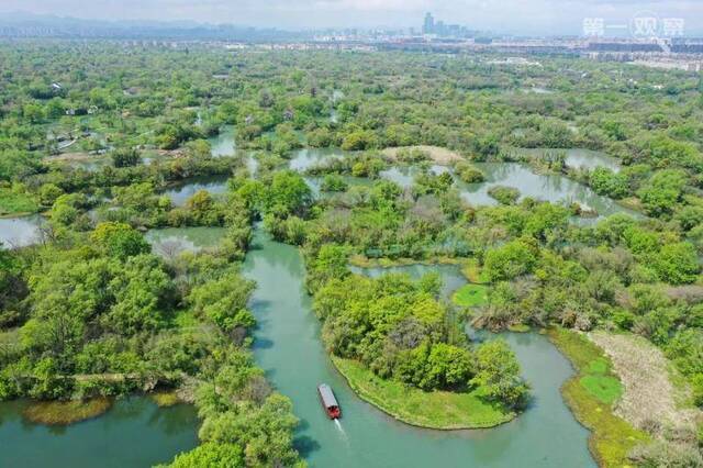 ↑游船行驶在浙江杭州西溪湿地水道上（2020年4月1日摄，无人机照片）。新华社记者翁忻旸摄