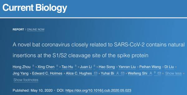细胞子刊：中国团队发现新蝙蝠冠状病毒，力证新冠起源于自然