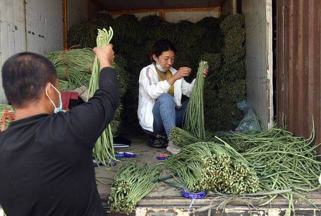 北京推进“净菜上市” 减少垃圾总量 组图